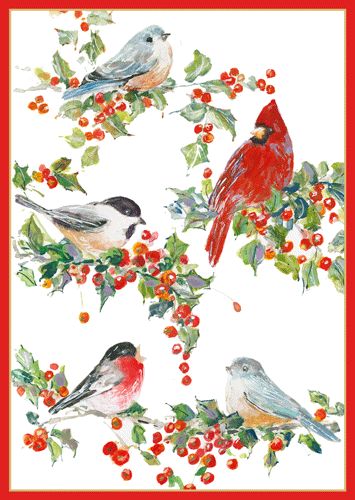 Winter Birds And Holly Christmas Card Box 16 Count