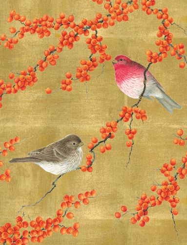 Birds And Berry Branches Christmas Card Box 16 Count
