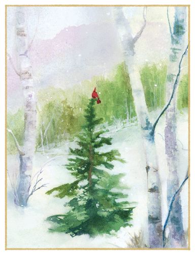 Cardinal In Woodland Christmas Card Box 16 Count