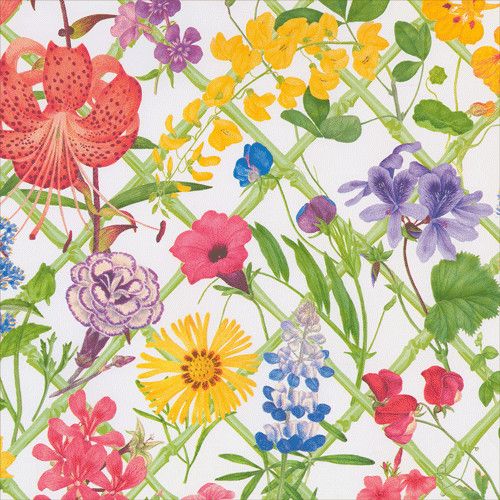 Floral Trellis Gift Wrap - 30" x 8' Roll
