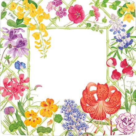 Floral Trellis Square Salad/Dessert Plates