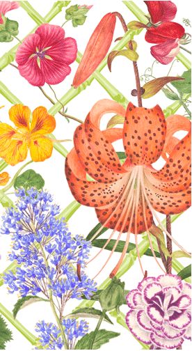 Floral Trellis Guest Towel