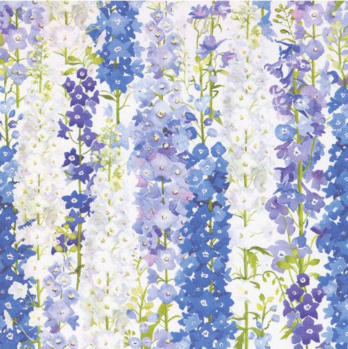 Delphiniums Gift Wrap