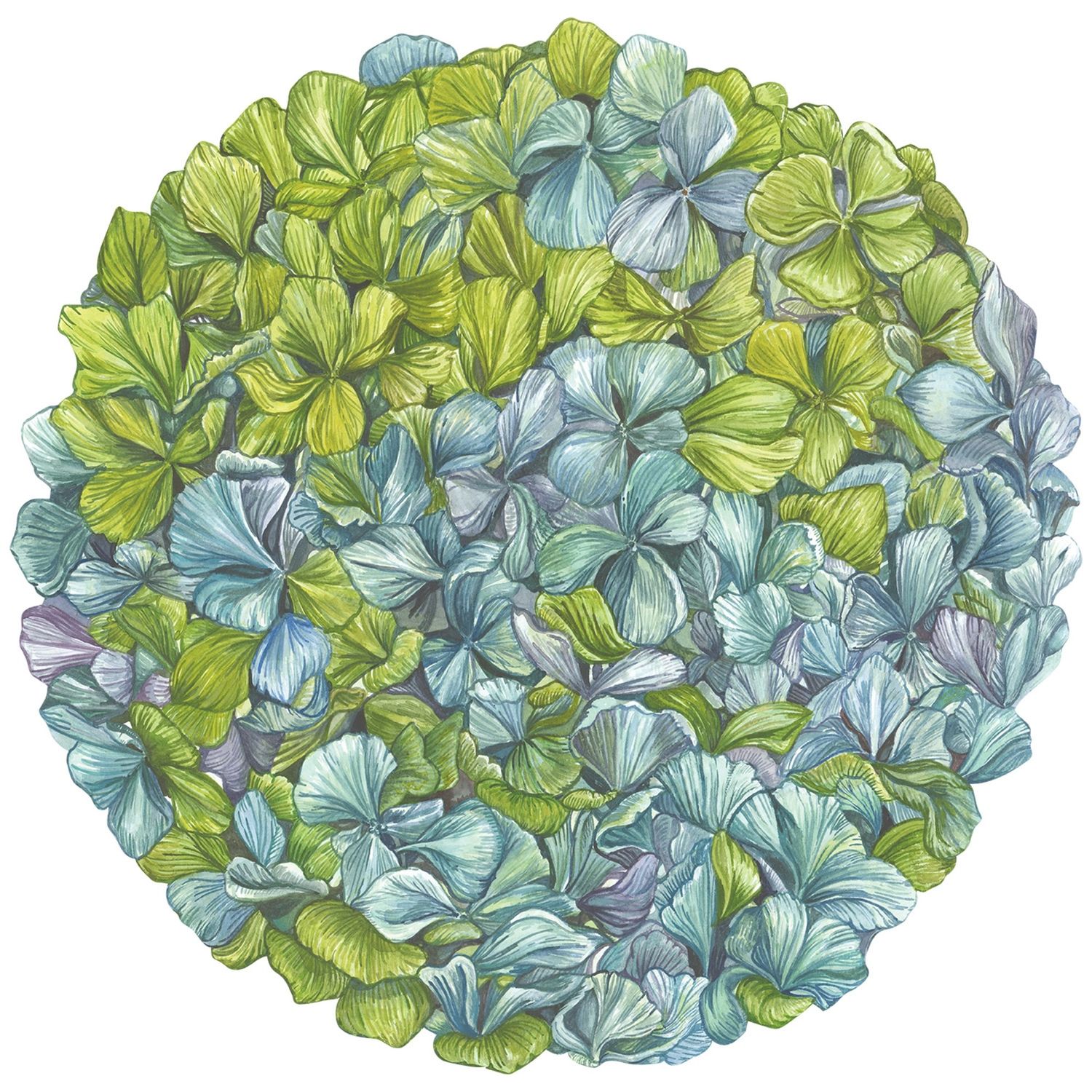 Die Cut Hydrangea Placemat - 12 Sheets