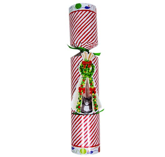 Cat Christmas Teepee Pet Favor - Single Item 13 Inch