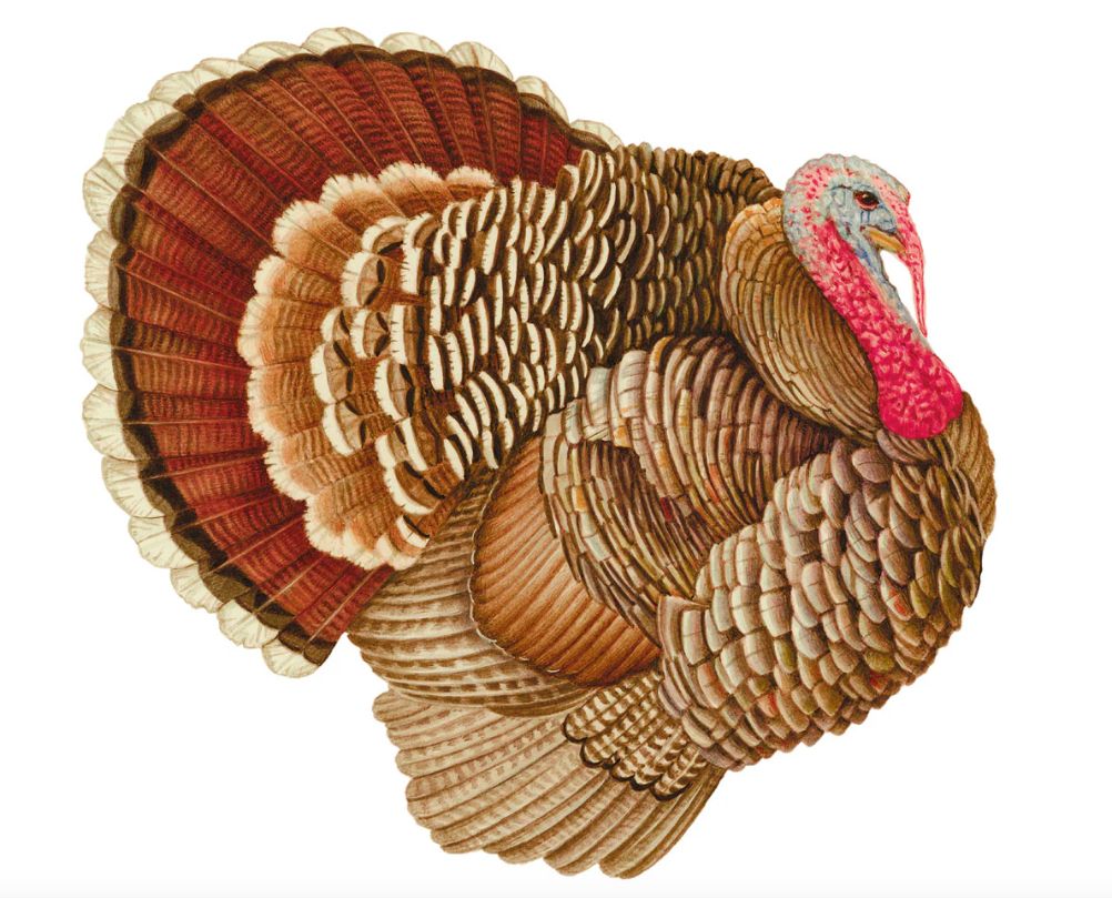 Turkey Paper Placemats - 12 Per Package