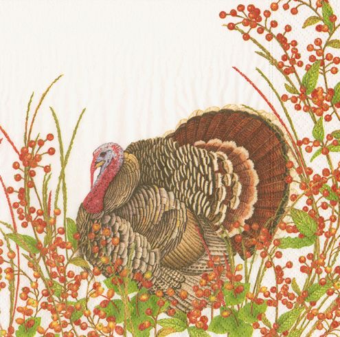 Turkey And Berries Cocktail Napkins - 20 Per Package