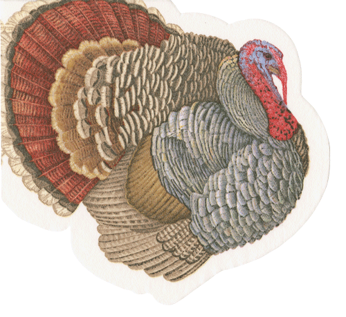 Turkey Die-Cut Paper Linen Party Lunch Napkins - 15 Per Package