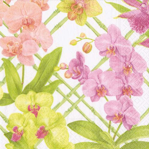 Orchid Conservatory Cocktail Napkins - 20 Per Package
