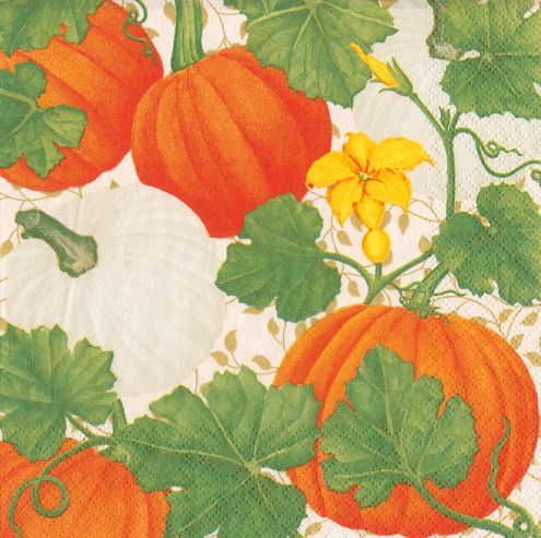 Pumpkin Chintz White Cocktail Napkins - 20 Per Package