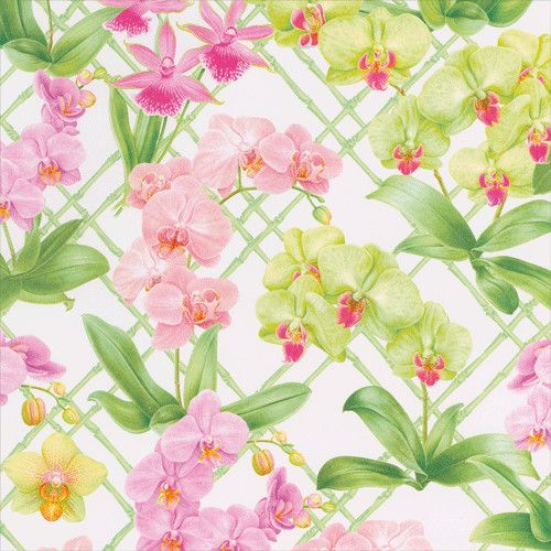 Orchid Conservatory Roll Wrap 30 Inch X 8ft-2 Inch Core