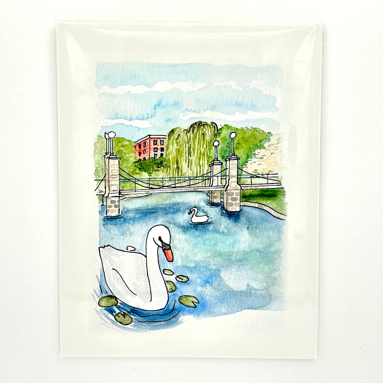 Public Garden Pond with Swan