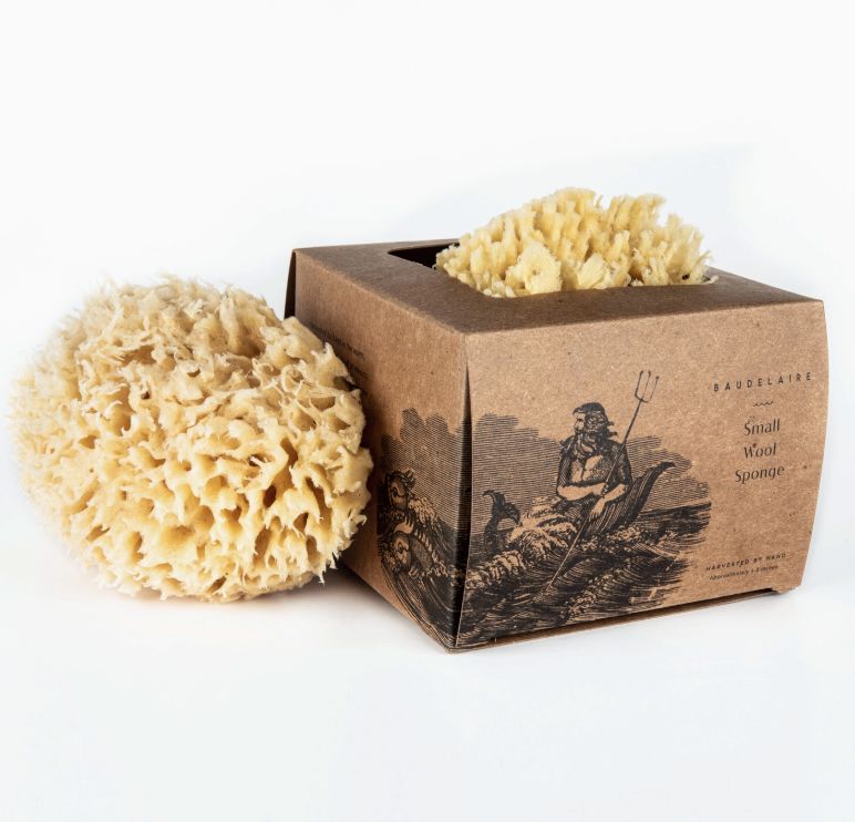Bath Sea Sponge Gift Box - Small 4.5"