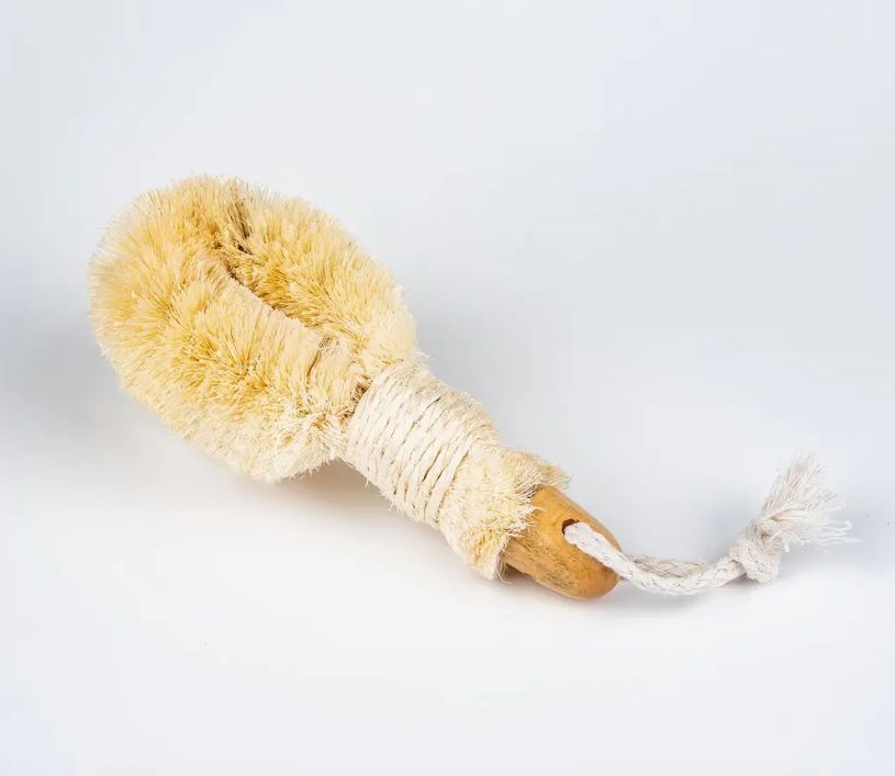 6" Sisal Nail Brush