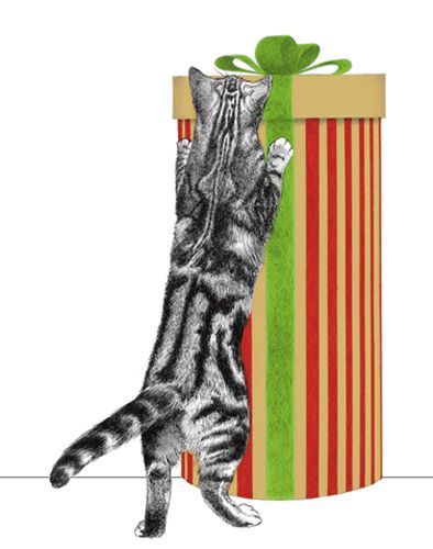 Curious Christmas Cats Enclosures Package 4 Pack