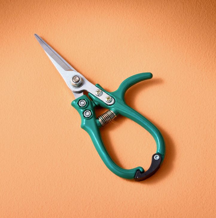 Garden Shears - Assorted Colors