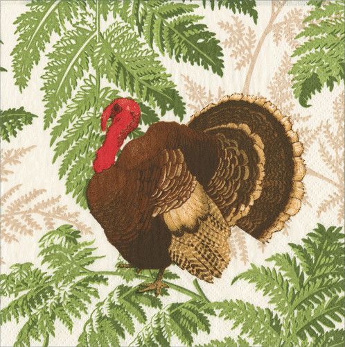 Turkey Among Ferns Cocktail Napkins - 20 Per Package