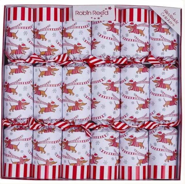 Racing Sausage Dog Party Crackers 6 per box - 13"