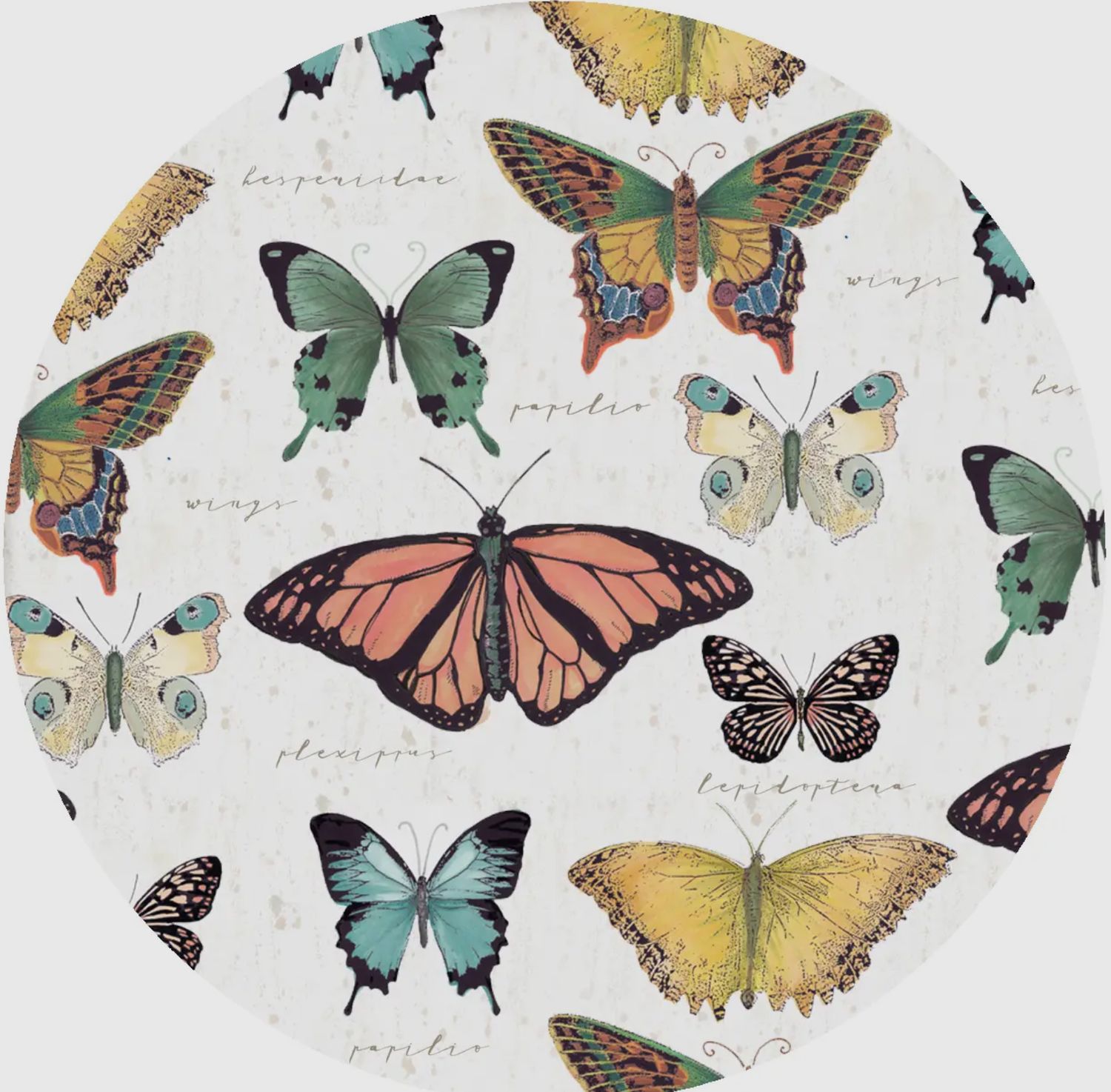 Butterfly Jar Opener