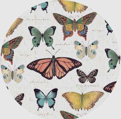 Butterfly Jar Opener