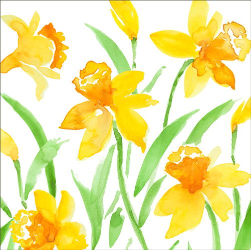 Spring Herald Cocktail Napkins 20 Per Package