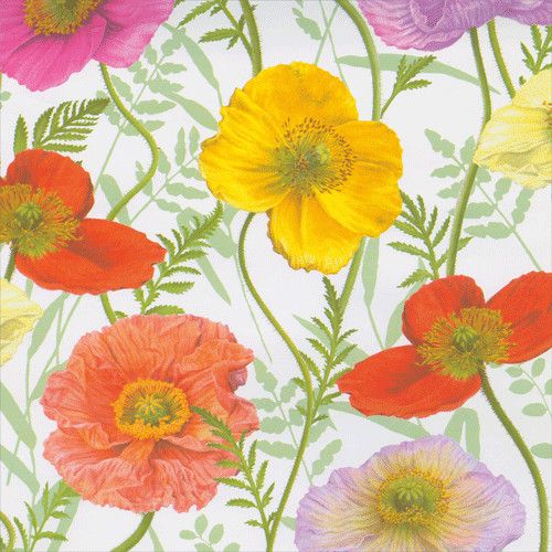 Poppy Wrapping Paper