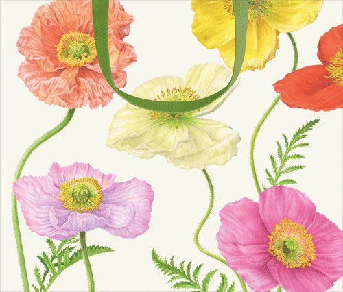 Poppy Gift Bag Large