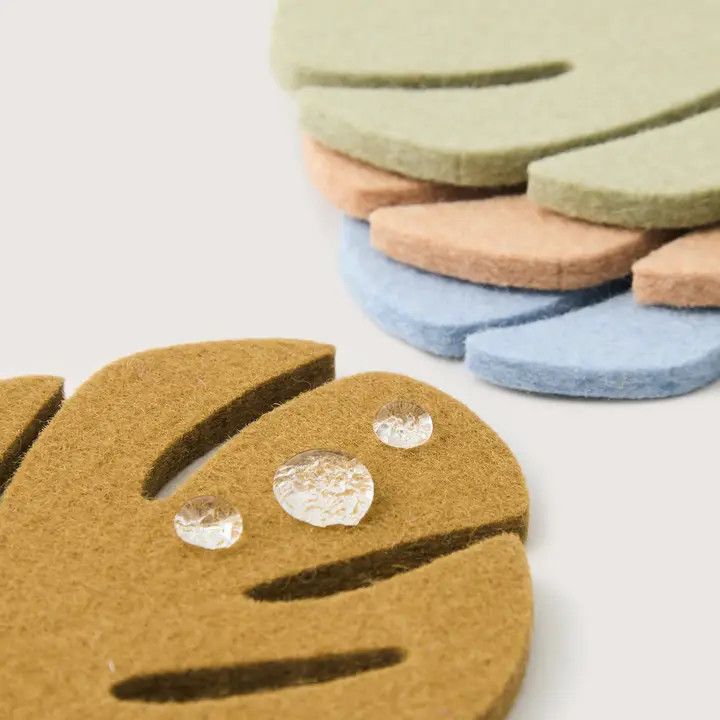 Coaster Monstera Tropics 4 Pack