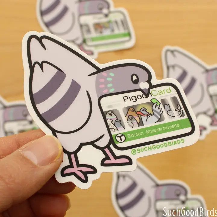 Boston Pigeon Charlie