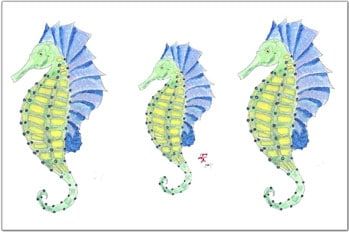 School of Seahorses Fish Placemat