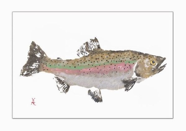 Rainbow Trout Placemat