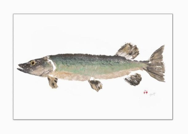 Northern Pike Placemat