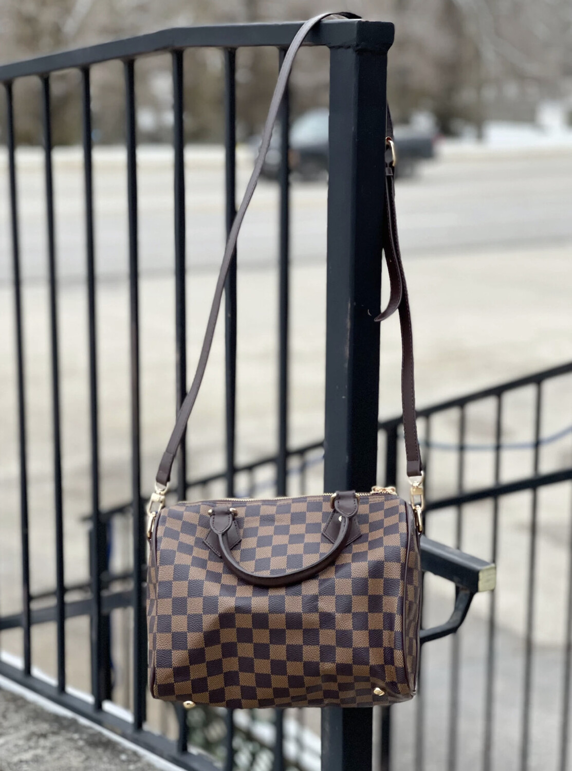 Checkered Speedy Handbag Combo