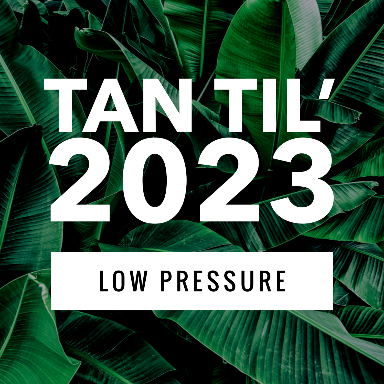 LOW PRESSURE - TAN TIL’ 2023