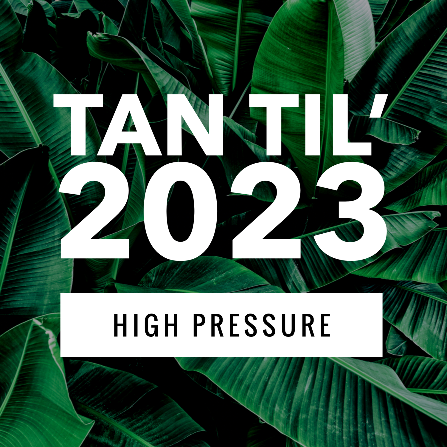 HIGH PRESSURE - TAN TIL 2023