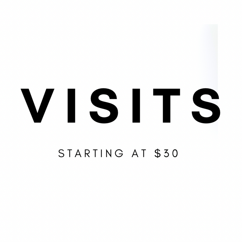 Hybrid Visits