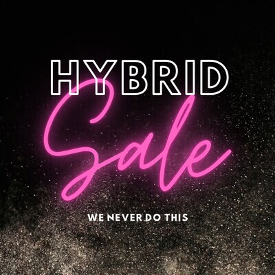 H Y B R I D   SALE