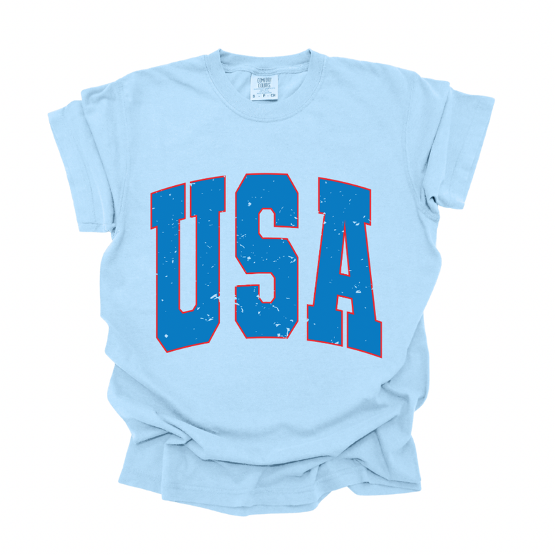 USA Arch Comfort Colors T-Shirt
