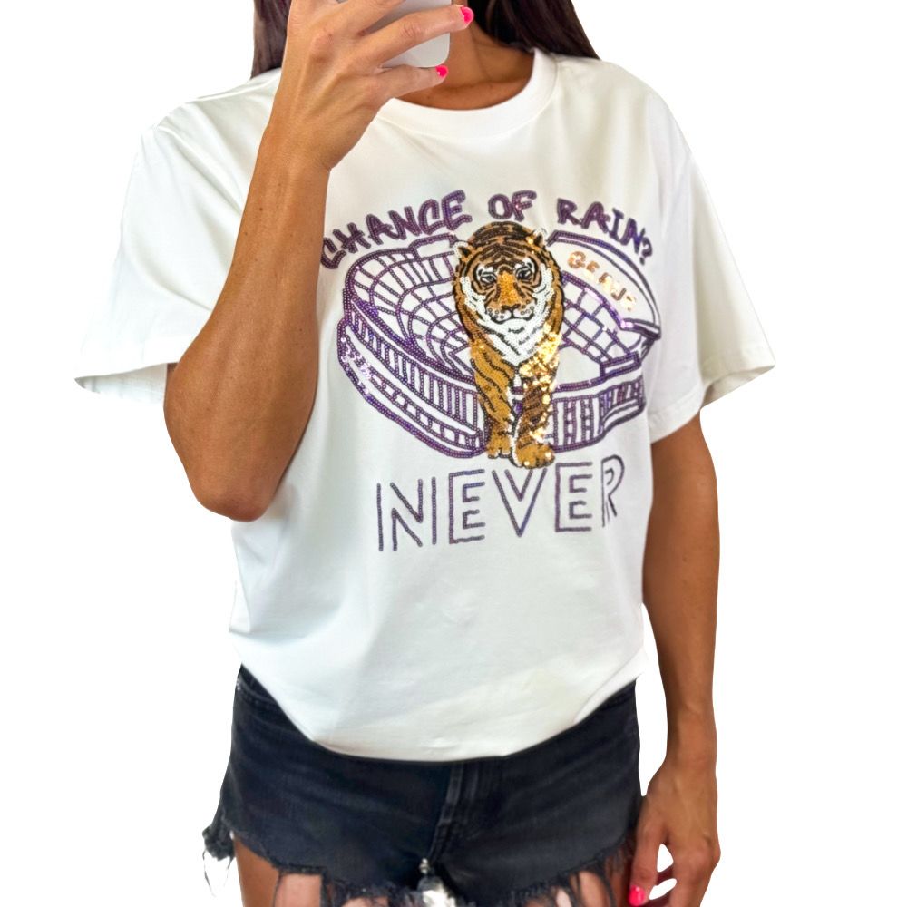 Chance Of Rain Sequin Top
