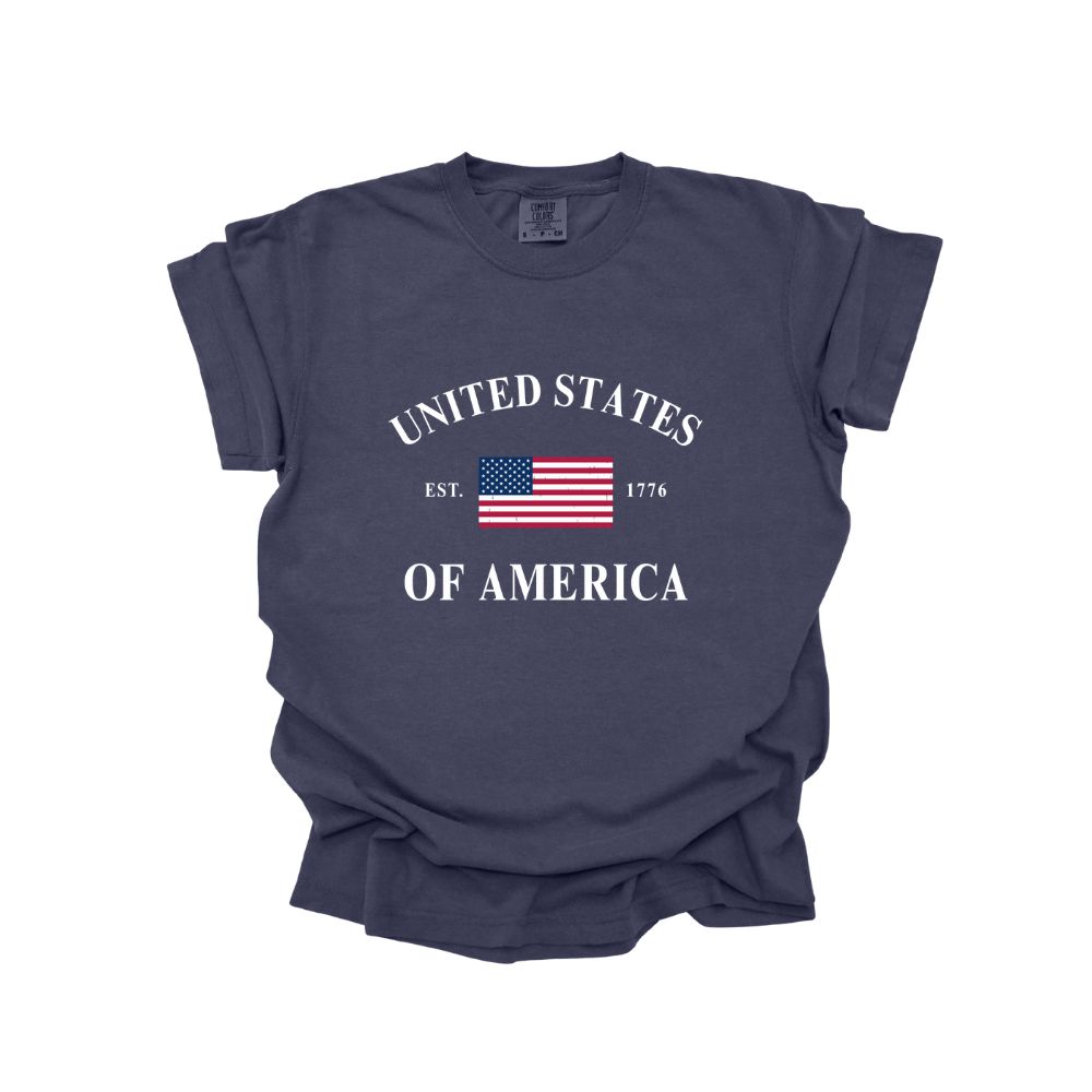 United State Of America Navy Vintage Wash Tee