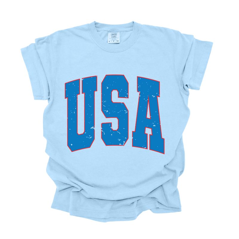 USA Arch Comfort Colors T-Shirt