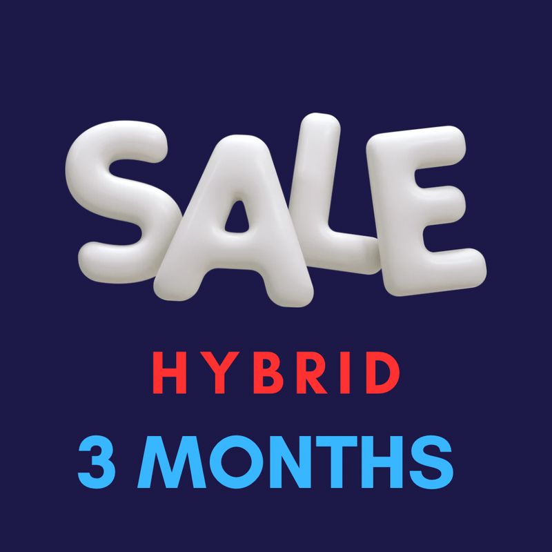 3 Months Hybrid