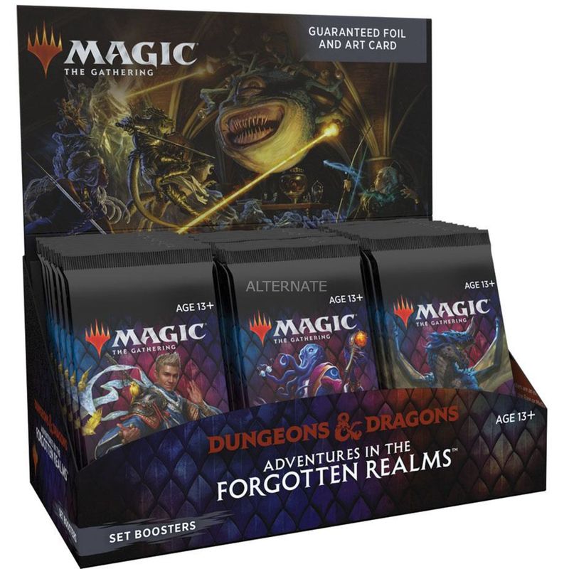 Magic: the Gathering Adventures in the Forgotten Realms Set Booster Box