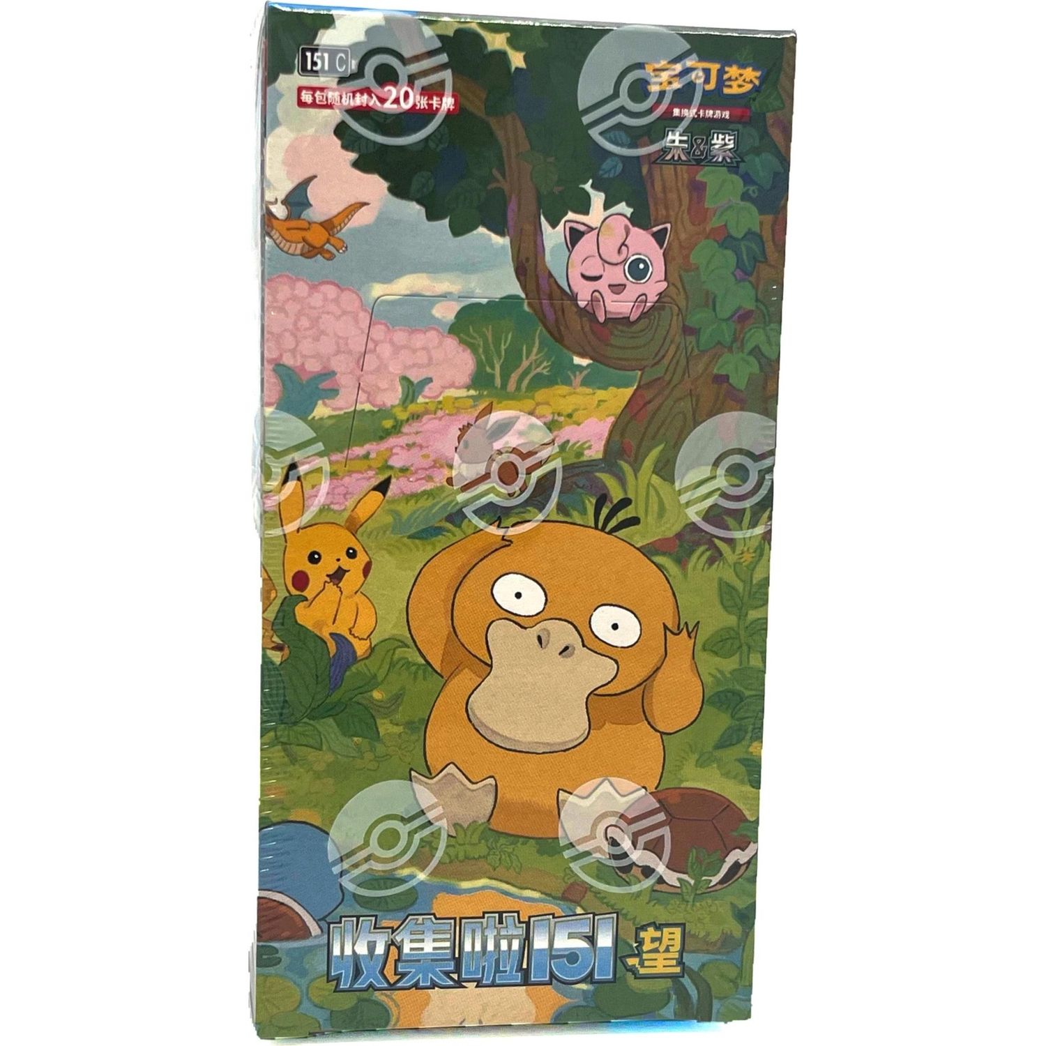 Pokémon Scatola Pokemon Jumbo (Cinese, Box Set E Collezione)