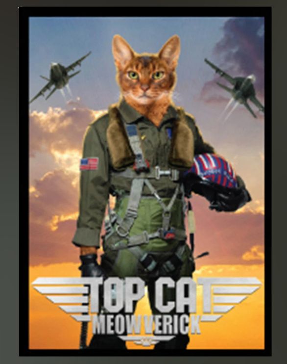 Sleeves: Double-Matte White Core - Movie Cats: Top Cat Meowverick (50ct)