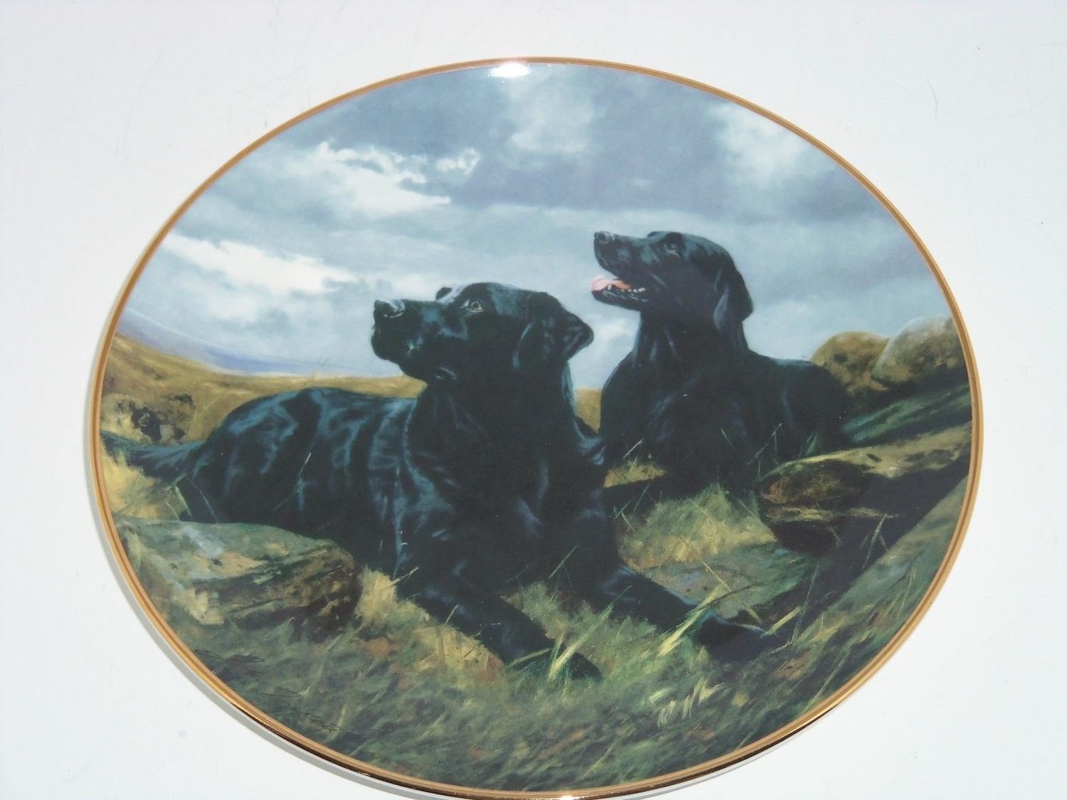 Collector Plates