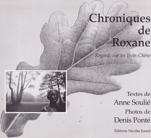 Chroniques de Roxanne