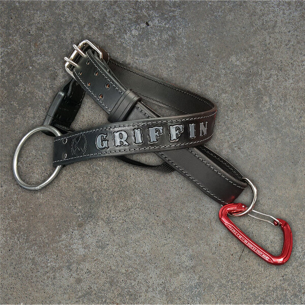 Squad Belt