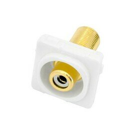 WHITE RCA SOCKET TO &#39;F&#39; SOCKET
