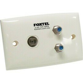 TWIN &#39;F&#39; &amp; PAL WALL PLATE